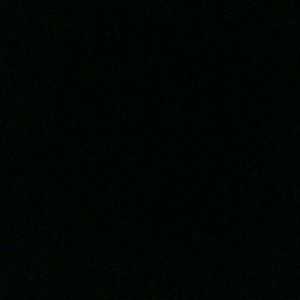 Meet your Posher, Maxine